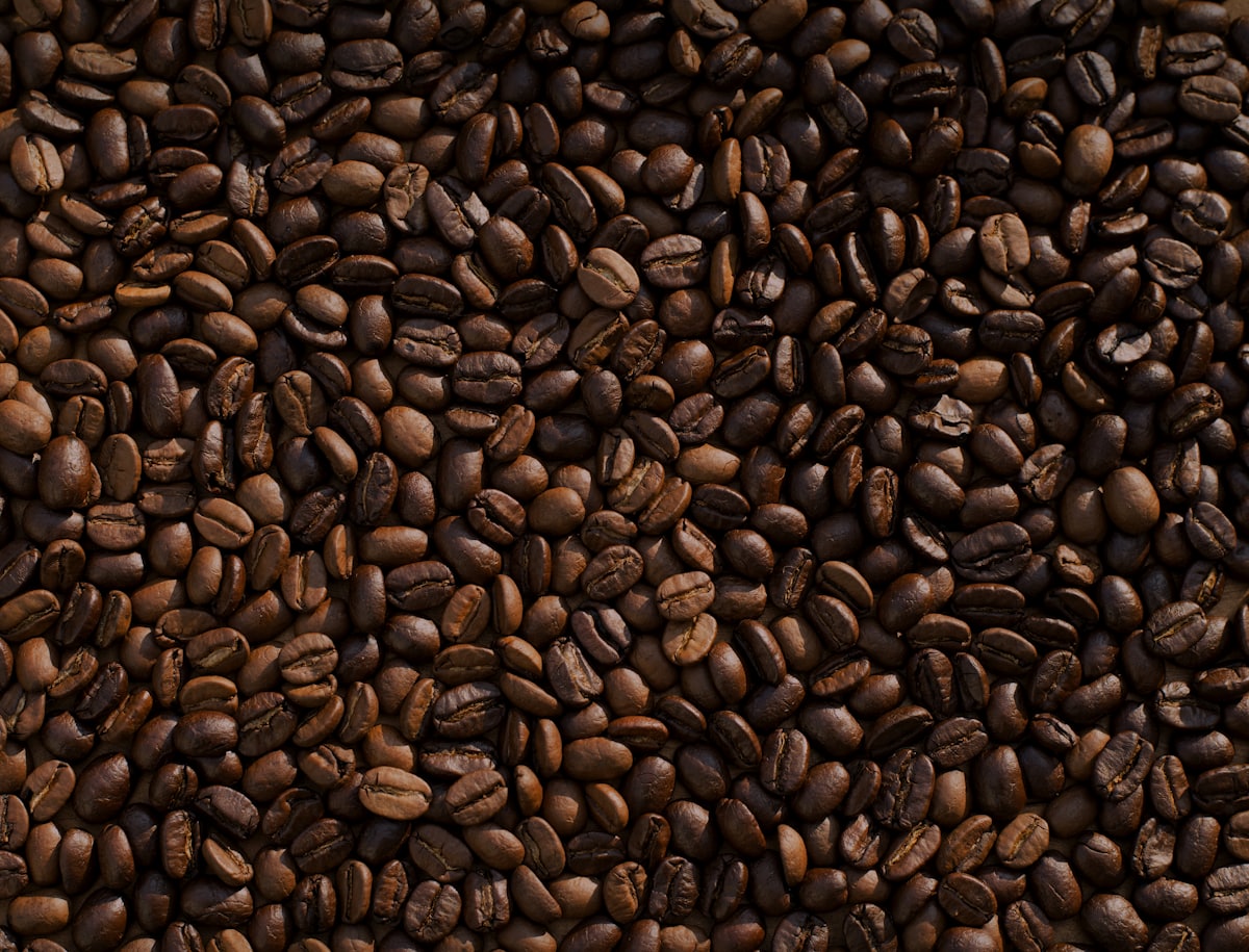 A close-up bed of freshly roasted coffee beans